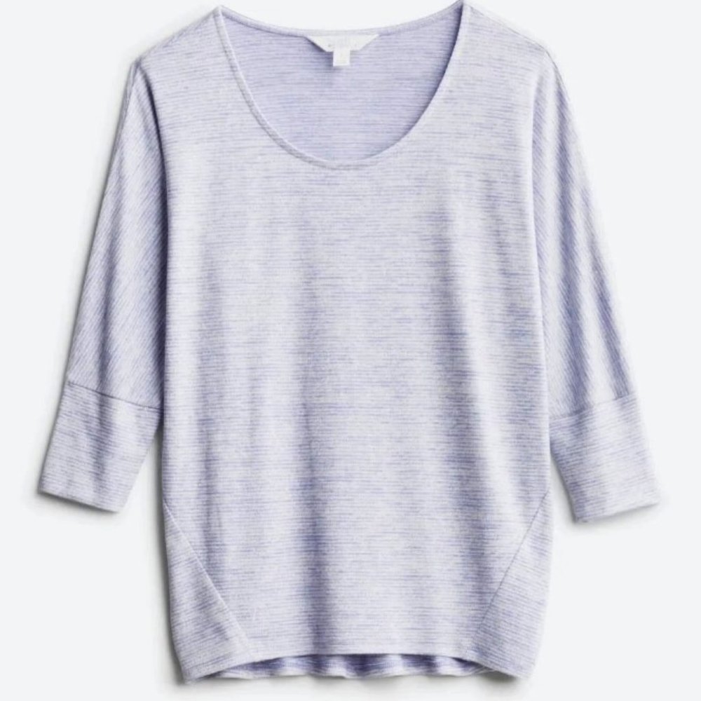 Market & Spruce Scoop Neck Knit Top